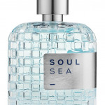 LPDO Men Soul Sea Парфюмерная вода 30 мл