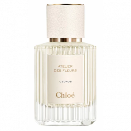 CHLOE ATELIER DES FLEURS CEDRUS